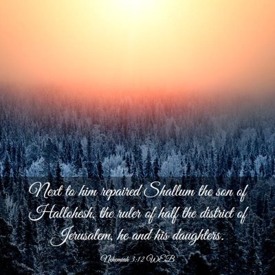 Picture 03 - Nehemiah 3:12 WEB - Next to him repaired Shallum the son of - Bible Verse Picture