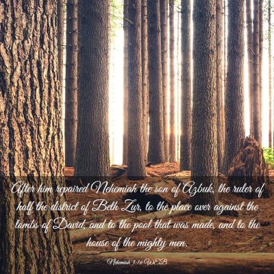 Picture 03 - Nehemiah 3:16 WEB - After him repaired Nehemiah the son of Azbuk, the - Bible Verse Picture