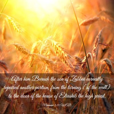 Picture 03 - Nehemiah 3:20 WEB - After him Baruch the son of Zabbai earnestly - Bible Verse Picture