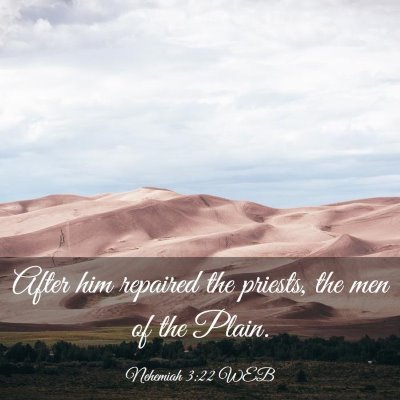 Picture 03 - Nehemiah 3:22 WEB - After him repaired the priests, the men of the - Bible Verse Picture