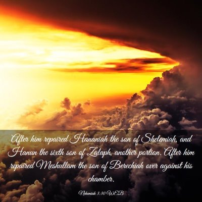 Picture 03 - Nehemiah 3:30 WEB - After him repaired Hananiah the son of Shelemiah, - Bible Verse Picture