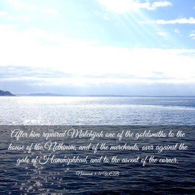Picture 03 - Nehemiah 3:31 WEB - After him repaired Malchijah one of the - Bible Verse Picture