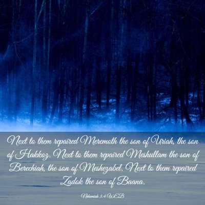 Picture 03 - Nehemiah 3:4 WEB - Next to them repaired Meremoth the son of Uriah, - Bible Verse Picture