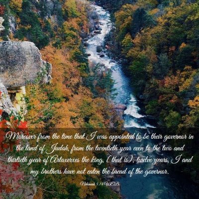 Picture 03 - Nehemiah 5:14 WEB - Moreover from the time that I was appointed to be - Bible Verse Picture