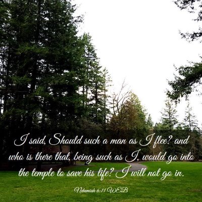 Picture 03 - Nehemiah 6:11 WEB - I said, Should such a man as I flee? and who is - Bible Verse Picture