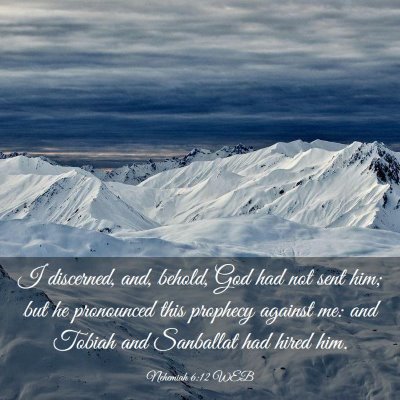 Picture 03 - Nehemiah 6:12 WEB - I discerned, and, behold, God had not sent him; - Bible Verse Picture