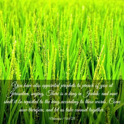 Picture 03 - Nehemiah 6:7 WEB - You have also appointed prophets to preach of you - Bible Verse Picture