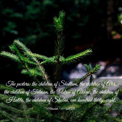 Picture 03 - Nehemiah 7:45 WEB - The porters: the children of Shallum, the - Bible Verse Picture