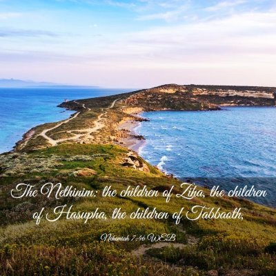 Picture 03 - Nehemiah 7:46 WEB - The Nethinim: the children of Ziha, the children - Bible Verse Picture