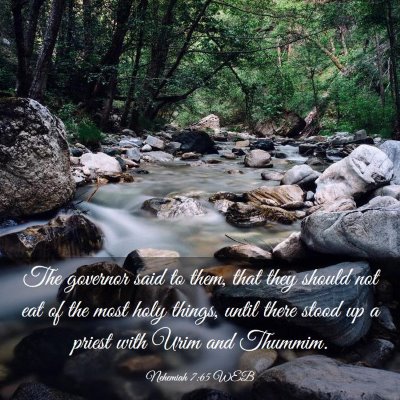 Picture 03 - Nehemiah 7:65 WEB - The governor said to them, that they should not - Bible Verse Picture