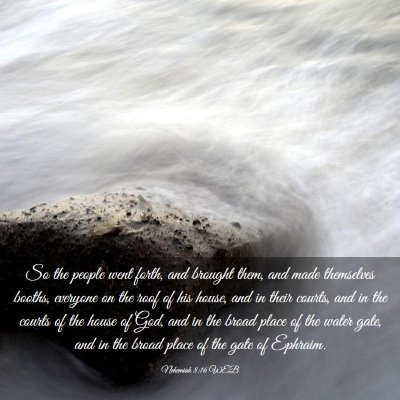 Picture 03 - Nehemiah 8:16 WEB - So the people went forth, and brought them, and - Bible Verse Picture