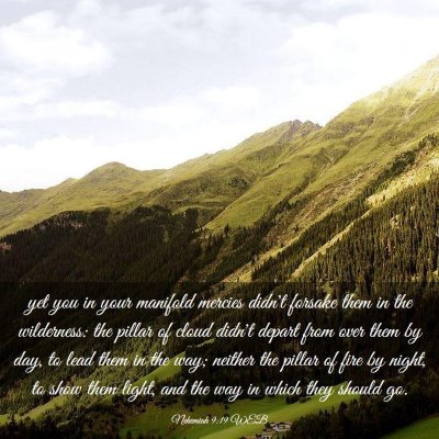 Picture 03 - Nehemiah 9:19 WEB - yet you in your manifold mercies didn't forsake - Bible Verse Picture