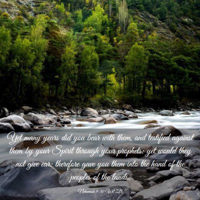 Picture 03 - Nehemiah 9:30 WEB - Yet many years did you bear with them, and - Bible Verse Picture