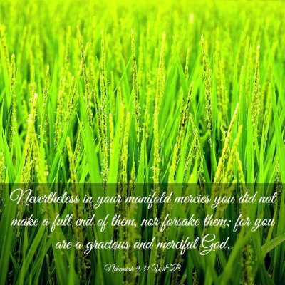 Picture 03 - Nehemiah 9:31 WEB - Nevertheless in your manifold mercies you did not - Bible Verse Picture