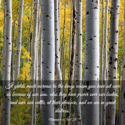 Picture 03 - Nehemiah 9:37 WEB - It yields much increase to the kings whom you - Bible Verse Picture