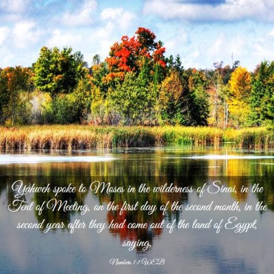 Picture 03 - Numbers 1:1 WEB - Yahweh spoke to Moses in the wilderness of Sinai, - Bible Verse Picture
