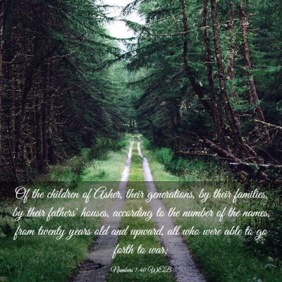 Picture 03 - Numbers 1:40 WEB - Of the children of Asher, their generations, by - Bible Verse Picture