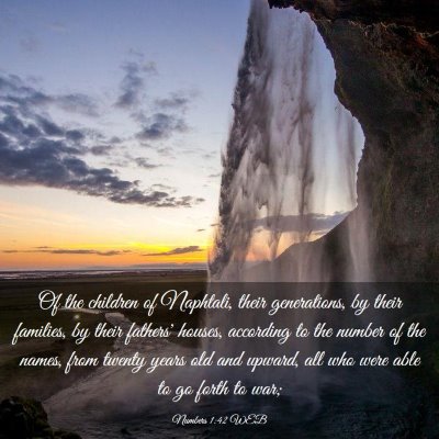 Picture 03 - Numbers 1:42 WEB - Of the children of Naphtali, their generations, - Bible Verse Picture