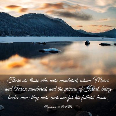Picture 03 - Numbers 1:44 WEB - These are those who were numbered, whom Moses and - Bible Verse Picture