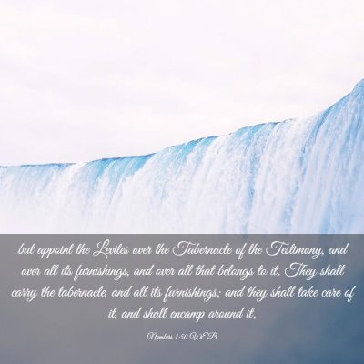 Picture 03 - Numbers 1:50 WEB - but appoint the Levites over the Tabernacle of - Bible Verse Picture