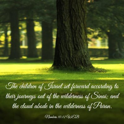 Picture 03 - Numbers 10:12 WEB - The children of Israel set forward according to - Bible Verse Picture
