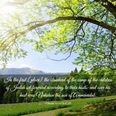 Picture 03 - Numbers 10:14 WEB - In the first [place] the standard of the camp of - Bible Verse Picture