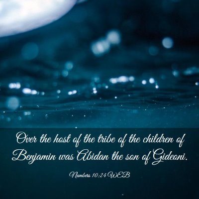 Picture 03 - Numbers 10:24 WEB - Over the host of the tribe of the children of - Bible Verse Picture
