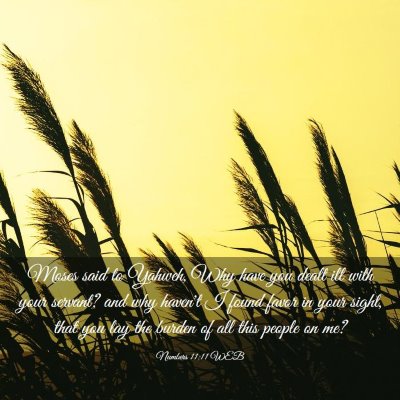 Picture 03 - Numbers 11:11 WEB - Moses said to Yahweh, Why have you dealt ill with - Bible Verse Picture