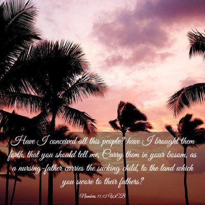 Picture 03 - Numbers 11:12 WEB - Have I conceived all this people? have I brought - Bible Verse Picture
