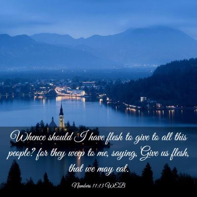 Picture 03 - Numbers 11:13 WEB - Whence should I have flesh to give to all this - Bible Verse Picture