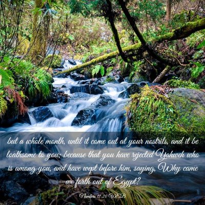 Picture 03 - Numbers 11:20 WEB - but a whole month, until it come out at your - Bible Verse Picture