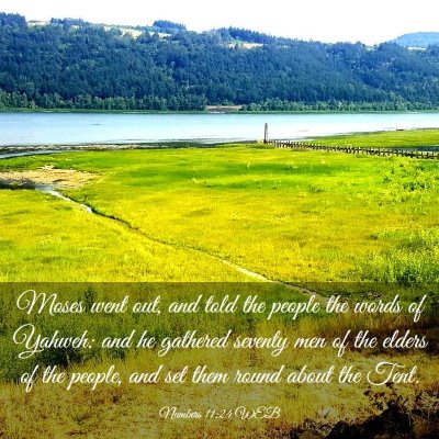 Picture 03 - Numbers 11:24 WEB - Moses went out, and told the people the words of - Bible Verse Picture