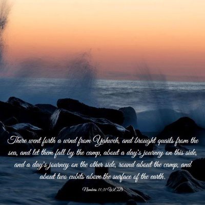 Picture 03 - Numbers 11:31 WEB - There went forth a wind from Yahweh, and brought - Bible Verse Picture