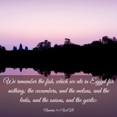 Picture 03 - Numbers 11:5 WEB - We remember the fish, which we ate in Egypt for - Bible Verse Picture
