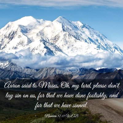 Picture 03 - Numbers 12:11 WEB - Aaron said to Moses, Oh, my lord, please don't - Bible Verse Picture
