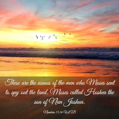 Picture 03 - Numbers 13:16 WEB - These are the names of the men who Moses sent to - Bible Verse Picture