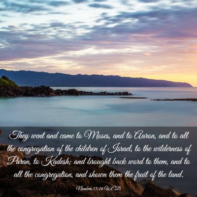 Picture 03 - Numbers 13:26 WEB - They went and came to Moses, and to Aaron, and to - Bible Verse Picture