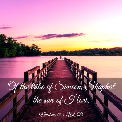 Picture 03 - Numbers 13:5 WEB - Of the tribe of Simeon, Shaphat the son of - Bible Verse Picture