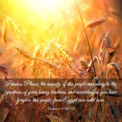 Picture 03 - Numbers 14:19 WEB - Pardon, Please, the iniquity of this people - Bible Verse Picture