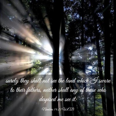 Picture 03 - Numbers 14:23 WEB - surely they shall not see the land which I swore - Bible Verse Picture