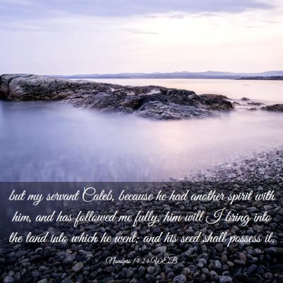 Picture 03 - Numbers 14:24 WEB - but my servant Caleb, because he had another - Bible Verse Picture