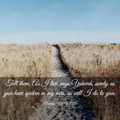 Picture 03 - Numbers 14:28 WEB - Tell them, As I live, says Yahweh, surely as you - Bible Verse Picture