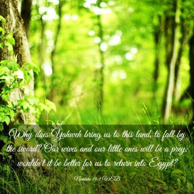 Picture 03 - Numbers 14:3 WEB - Why does Yahweh bring us to this land, to fall by - Bible Verse Picture