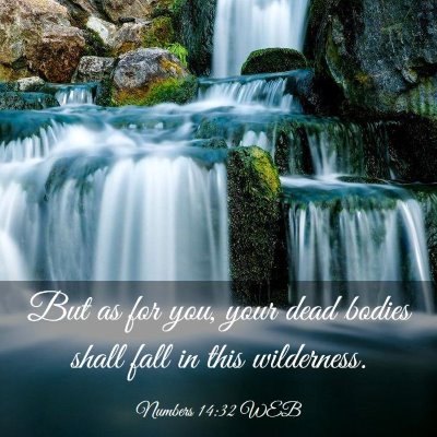 Picture 03 - Numbers 14:32 WEB - But as for you, your dead bodies shall fall in - Bible Verse Picture
