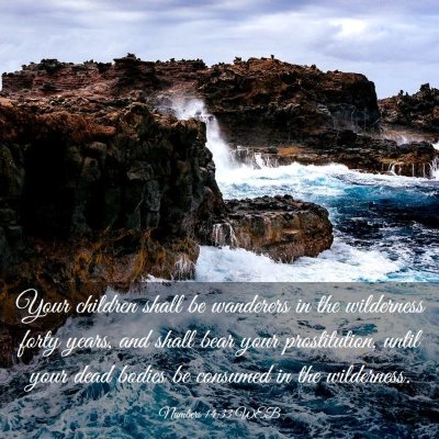 Picture 03 - Numbers 14:33 WEB - Your children shall be wanderers in the - Bible Verse Picture