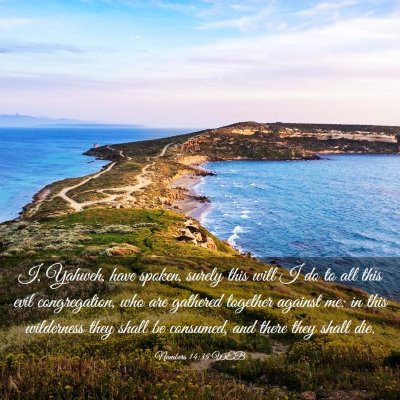 Picture 03 - Numbers 14:35 WEB - I, Yahweh, have spoken, surely this will I do to - Bible Verse Picture