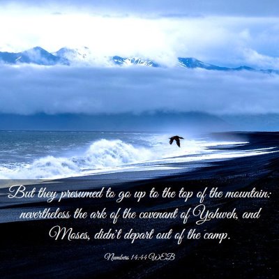Picture 03 - Numbers 14:44 WEB - But they presumed to go up to the top of the - Bible Verse Picture