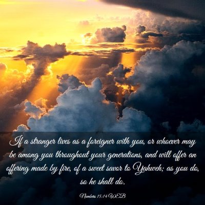 Picture 03 - Numbers 15:14 WEB - If a stranger lives as a foreigner with you, or - Bible Verse Picture
