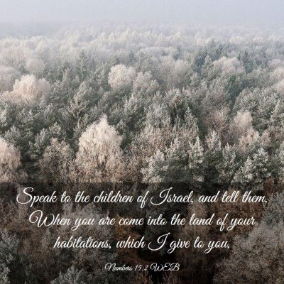 Picture 03 - Numbers 15:2 WEB - Speak to the children of Israel, and tell them, - Bible Verse Picture