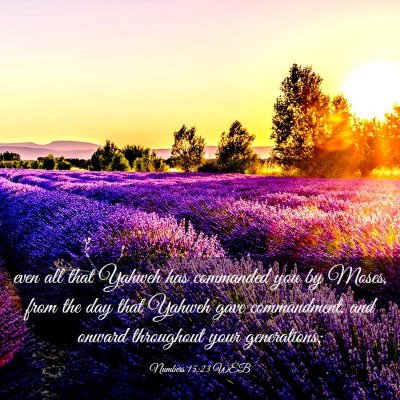Picture 03 - Numbers 15:23 WEB - even all that Yahweh has commanded you by Moses, - Bible Verse Picture